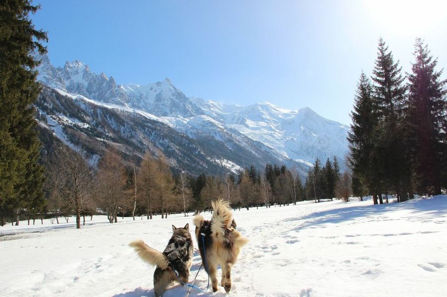 huskydalen