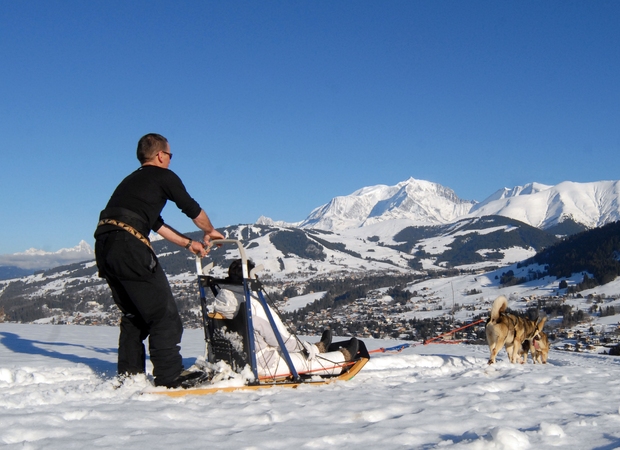 chien-de-traineau-megève-mont-du-villard