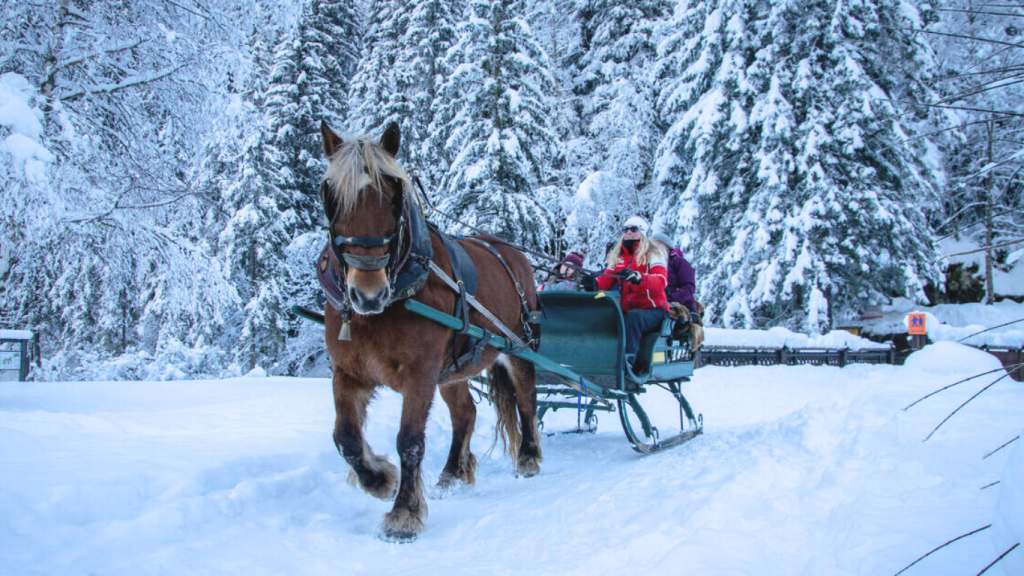 marché de noel aux contamines montjoie